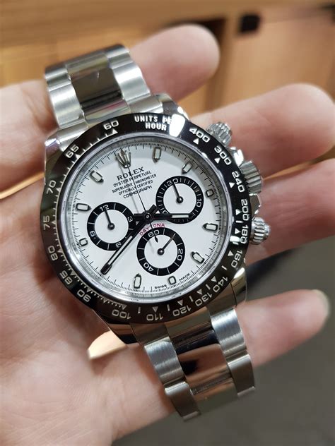 rolex daytona pandas.